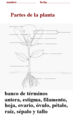Spanish script-PlantDiagram banco de terminos A.png