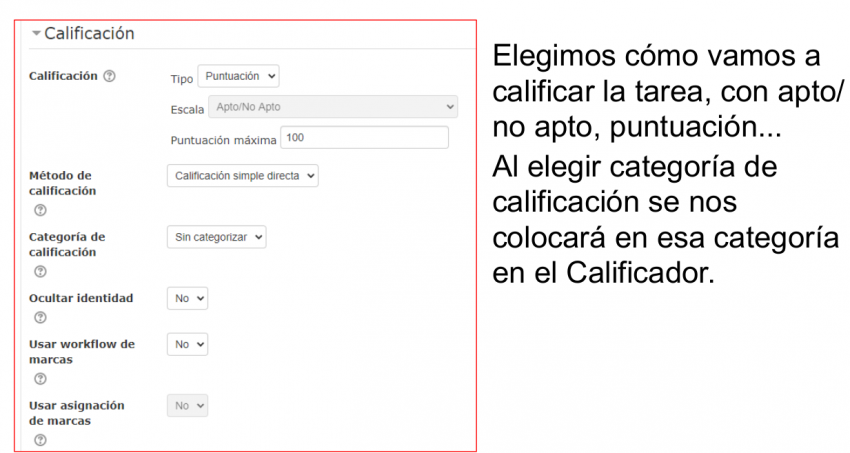 Moodle tareas6.png