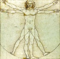 607px-Da Vinci Vitruve Luc Viatour2.jpg