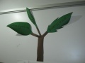 El árbol de conocimiento 11.JPG