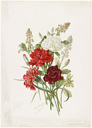 Carnations and Mignonette (Boston Public Library).jpg